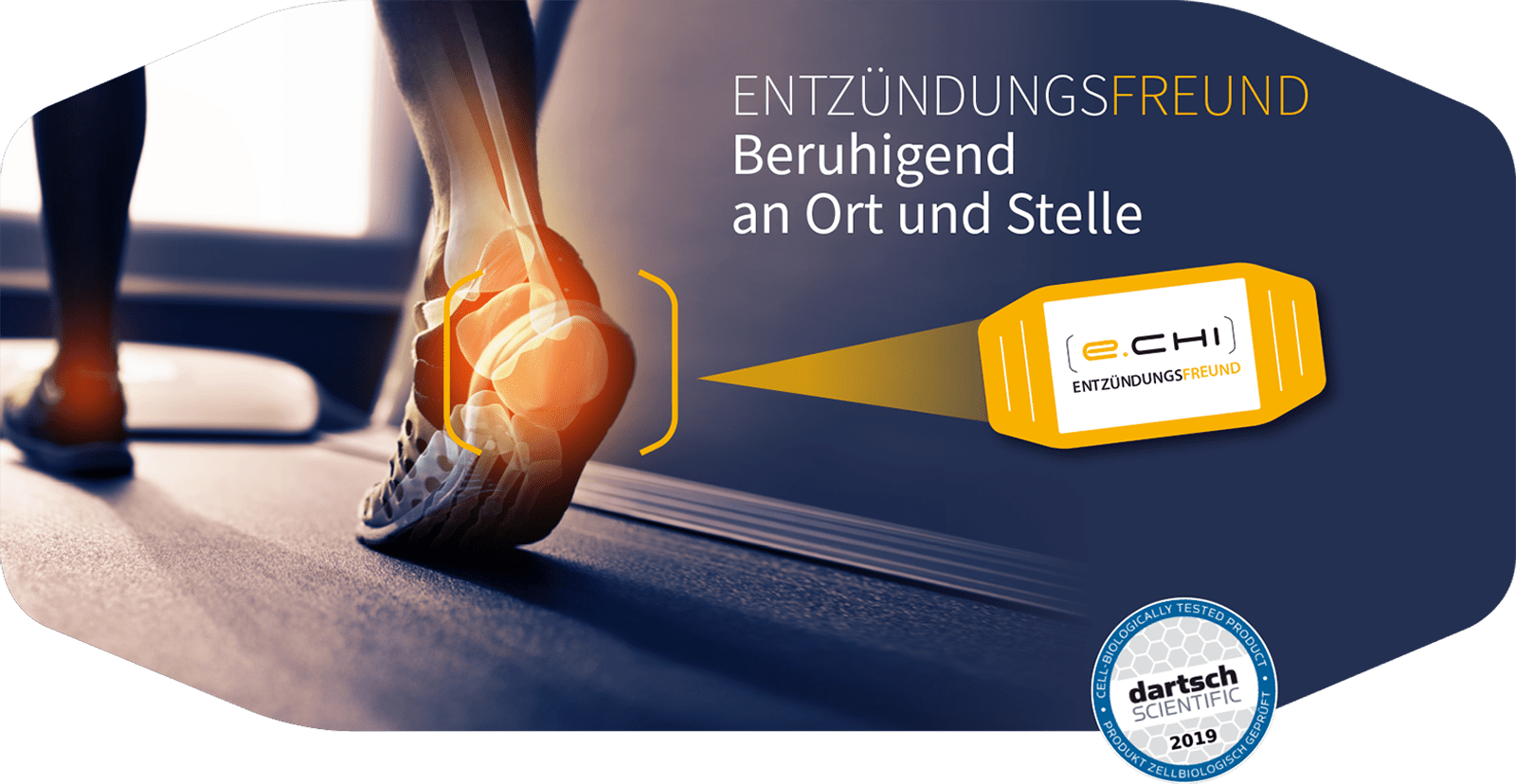 e-chi - Entzündungsfreund